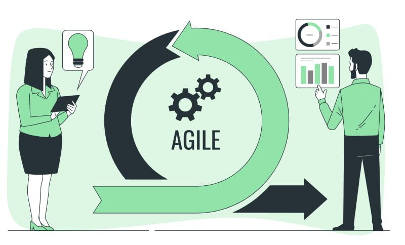 The Agile Process in Web Development